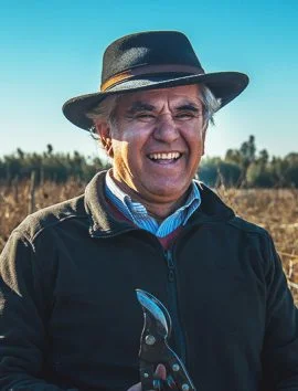 Benito Castro Gaete