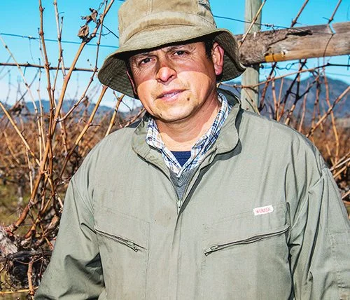 José Luis Cáceres