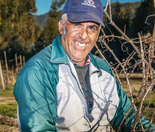 Segundo Castro Gaete