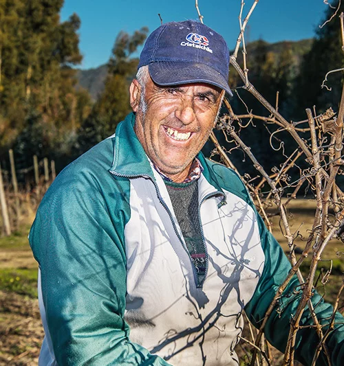 Segundo Castro Gaete