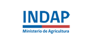 INDAP Logo